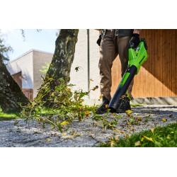 Greenworks 60 Volt bladblazer BL2206H