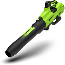Greenworks 60 Volt bladblazer BL2206H
