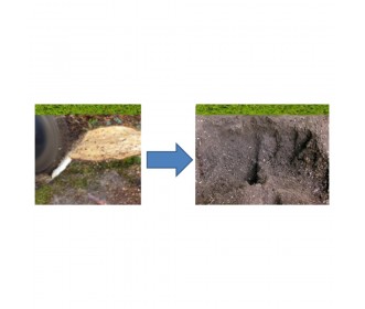 Lumag Stronkenfrees BSF15