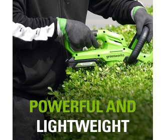 Greenworks 24 volt accu G24B2