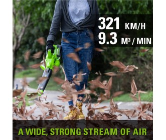 Greenworks 24+24 volt bladblazer GD24X2BV Greenworks 24+24 volt bladblazer GD24X2BV